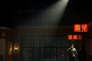 《霜降之后》果园枝头结霜的近景